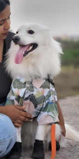 Good quality review photo