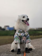 Good quality review photo