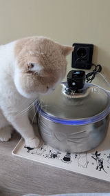 siri sagen review photo