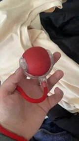 T.Z. review photo