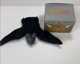 K.S. review photo