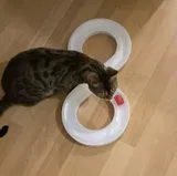 P.H. review photo