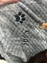 J.S. review photo