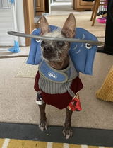User picture