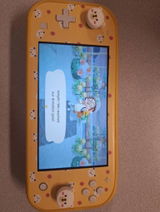 Remus Thuer review photo