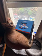 Mao Pao the City Kitty review photo