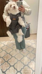 Dolly review photo