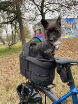Corbe review photo
