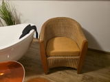 Icke review photo