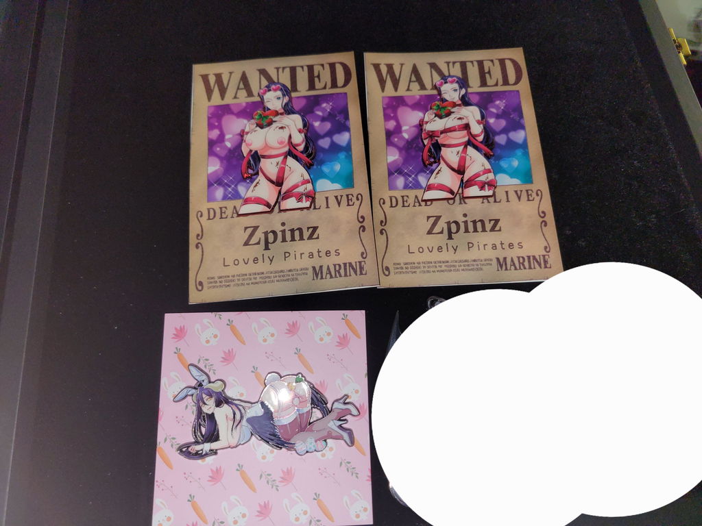 Zpinz252