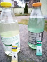 Rudolf S. review photo