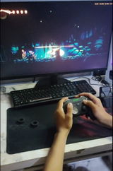Neev review photo