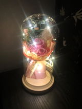 Priyank Jain review photo