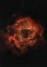 NewInUniverse review photo